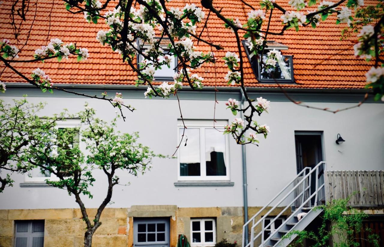 Loewenherz Apartment Bad Bentheim